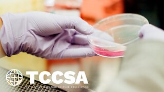 The First Synthetic Life - Dr. Rob Stadler