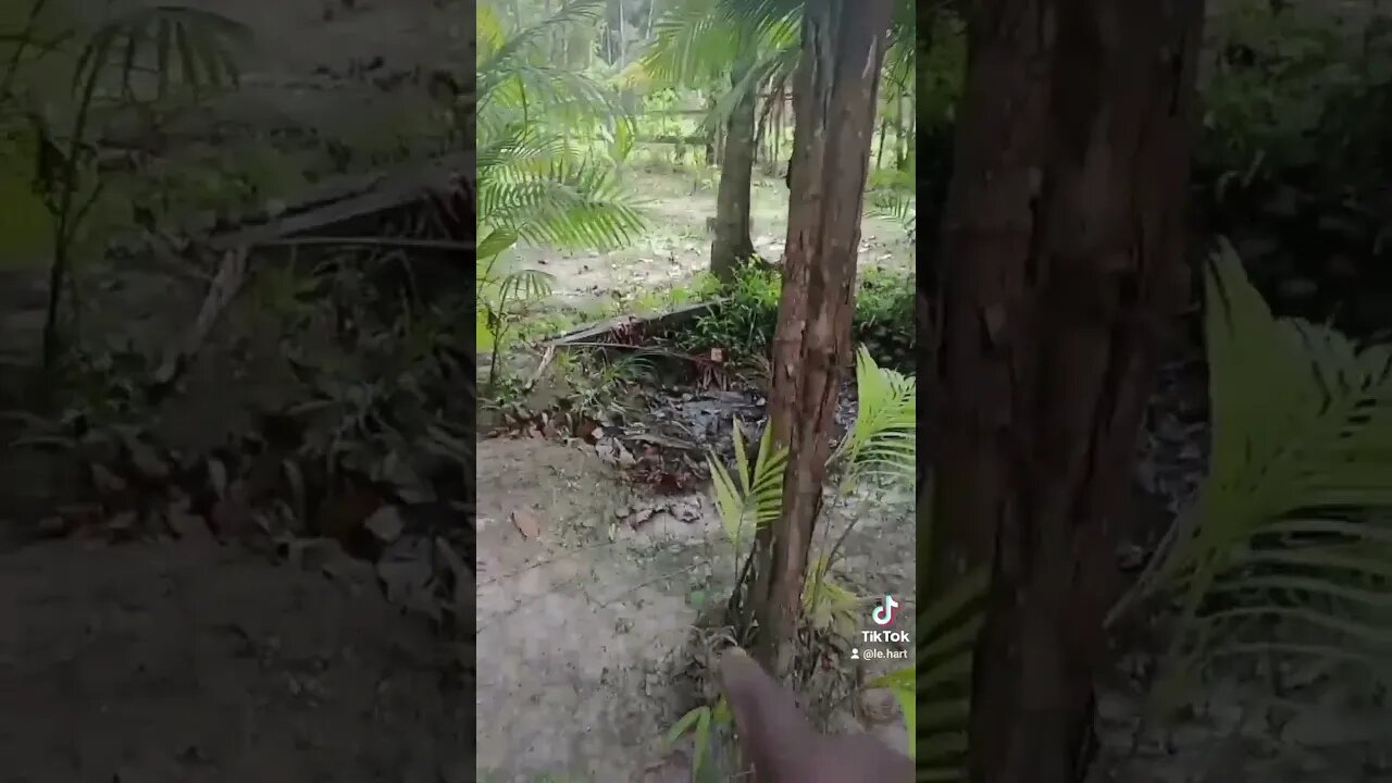 7 de setembro de 2023