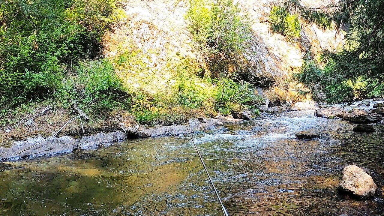 This stream wasn't easy to fish but it was definitely worth the effort!