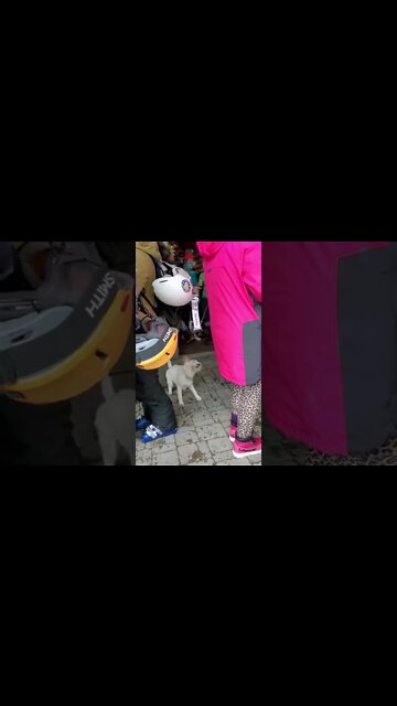 party boy ares feels great