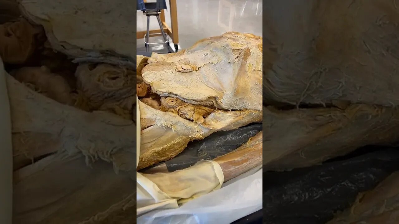 You Won't Believe What You're Made of...