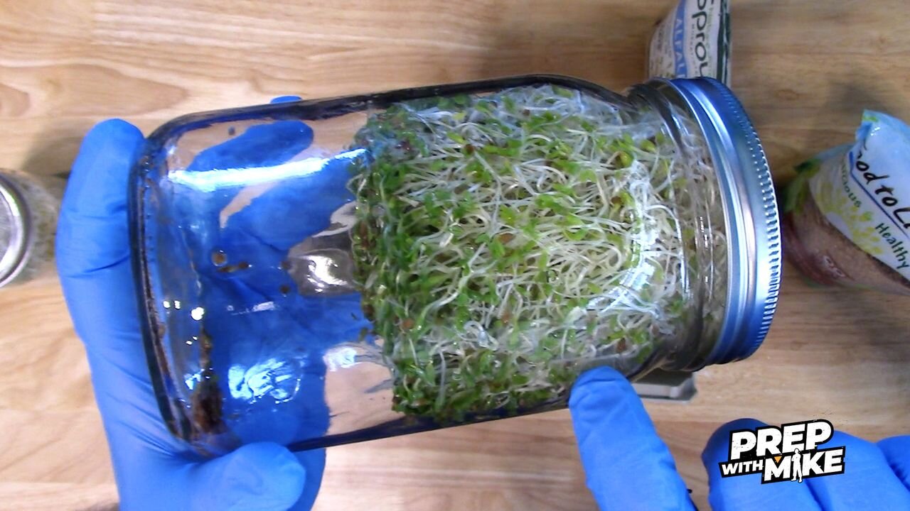 PrepWithMike - The EASIEST way to grow sprouts and harvest your own LIVE FOOD mineral supplements