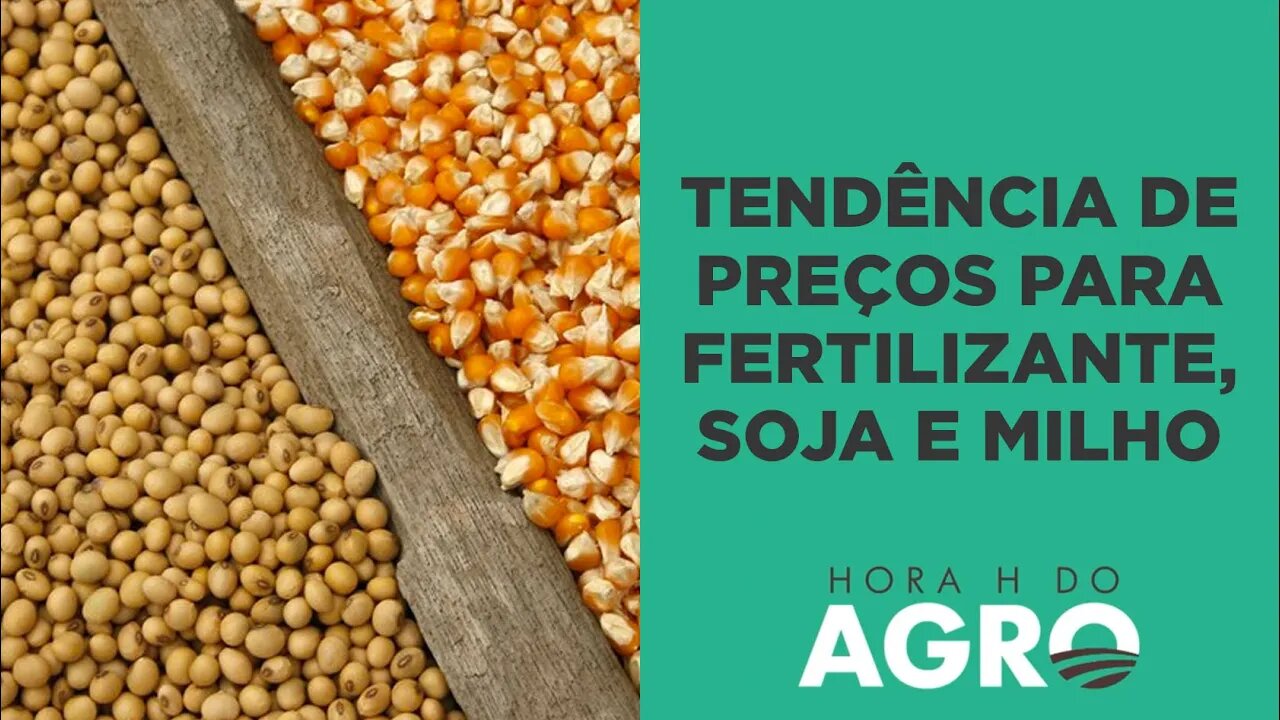 Fertilizante: relação de troca despenca e agricultor inicia compras para a safra 23/24