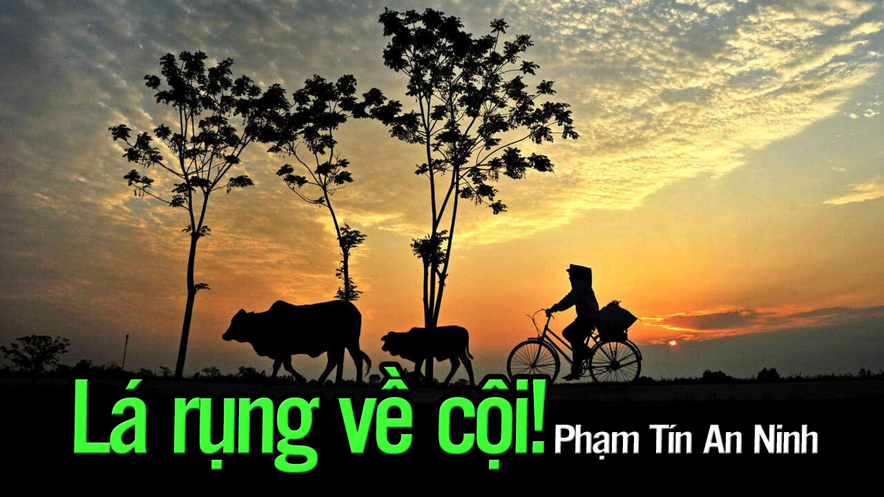 Việt Linh: Lá rụng về cội