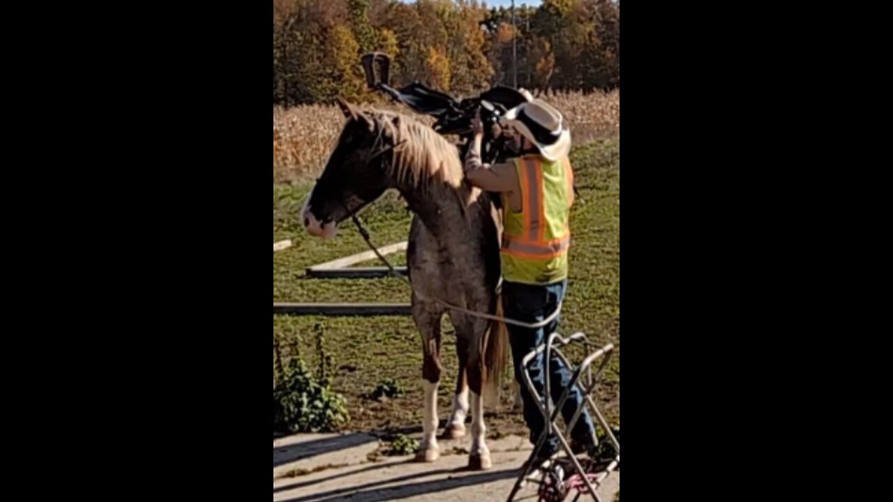 Wesley - first ride assessment - 19 Oct 2024