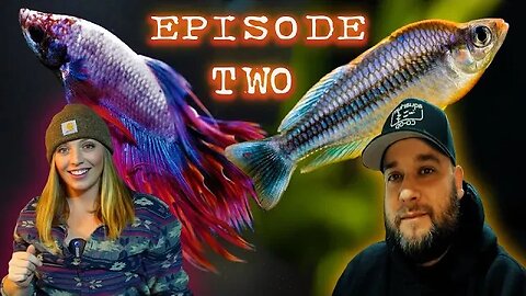 The Dani and Bob Aquarium Hour - Number 2