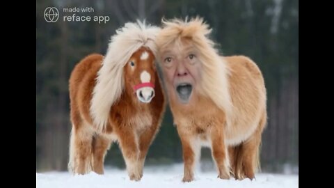 The Ultimate Donald Trump Pony Meme! 🐴