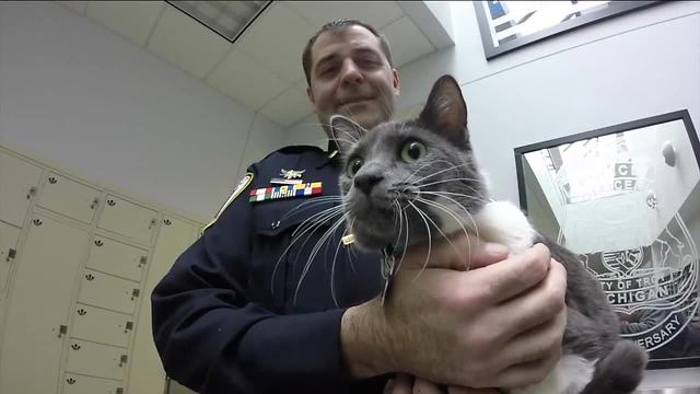 Troy Police to test out police cats on Friday