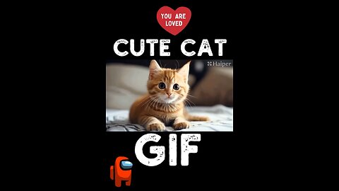 Cute Cat Gif