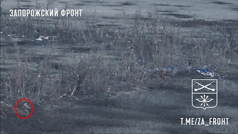 Footage of the assault squad of the Armed Forces of the Russian Federation in the Zaporozhye area