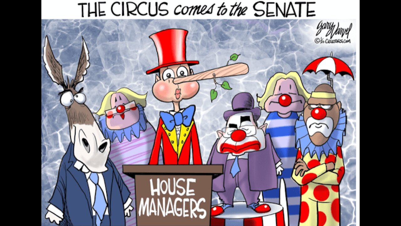 THE SENATE CIRCUS