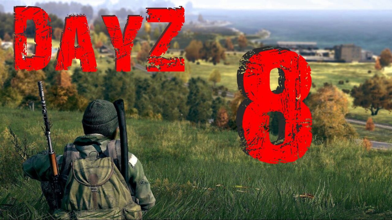 DayZ #8