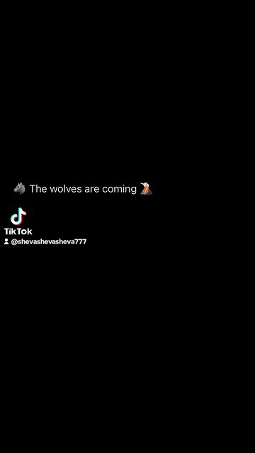 get ready monkeys 🙈