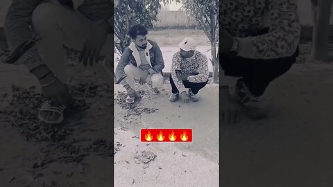 mix funny Bagle Kasganji shorts