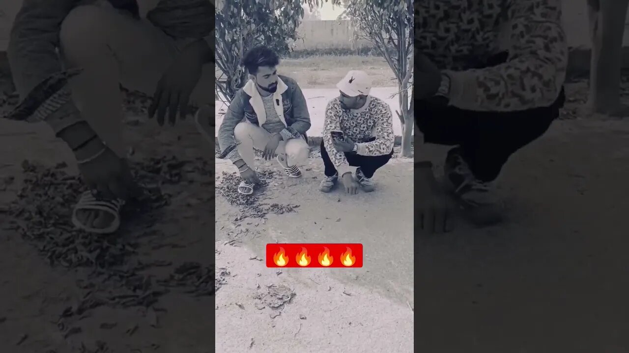 mix funny Bagle Kasganji shorts
