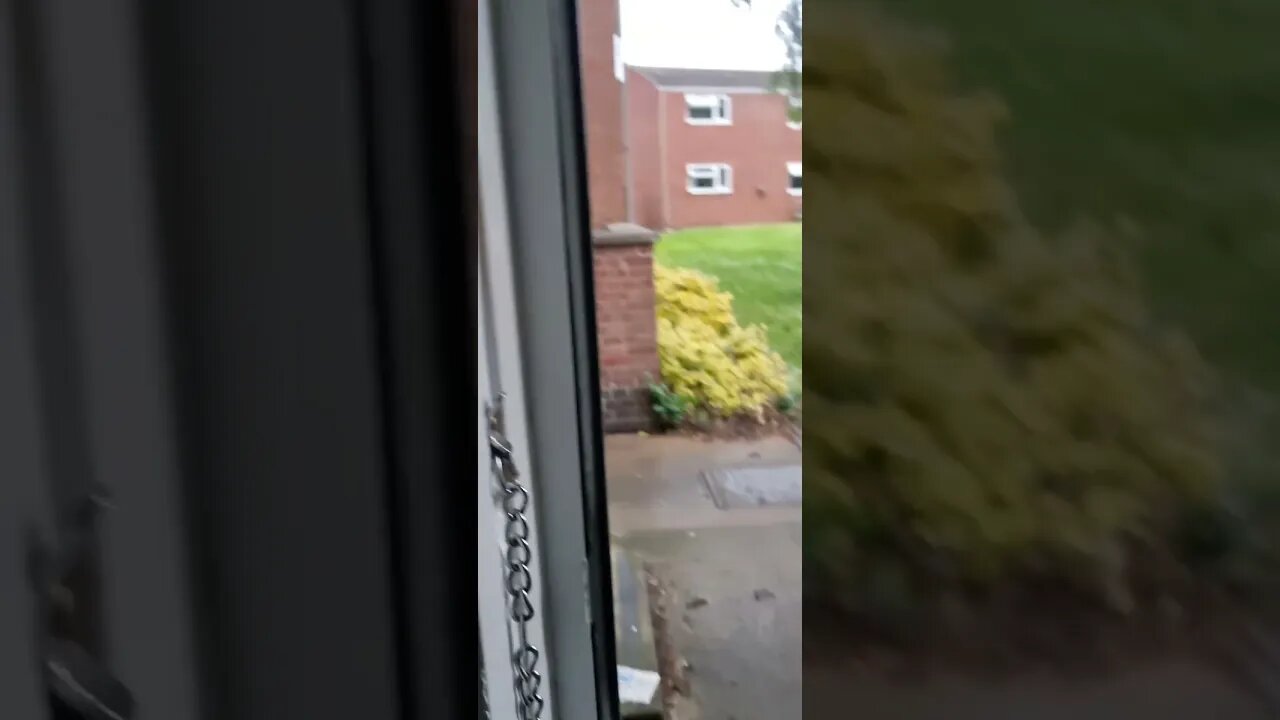 while filming out the video 📹 I went my whole length nose first