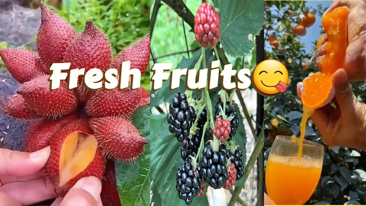 Natural fruits 🍇🍉 amazing fruit gushers 🌳 nature garden प्राकृतिक फल अद्भुत फल प्रकृति उद्यान SFT37