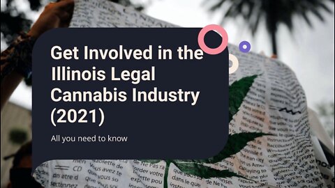 How to Get Involved in the Illinois Legal Cannabis Industry (2022)