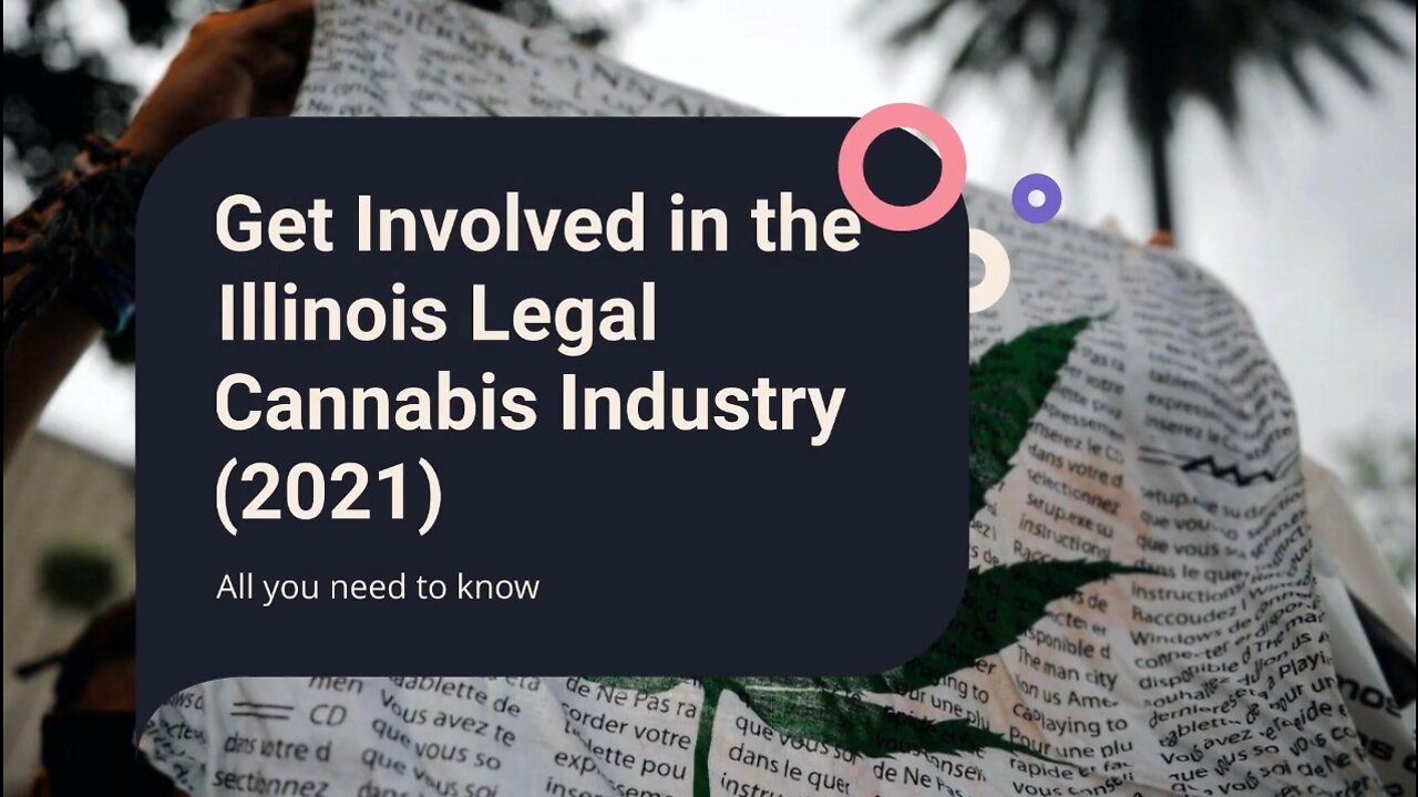 How to Get Involved in the Illinois Legal Cannabis Industry (2022)