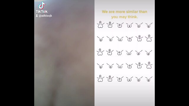 We are more similar than you think