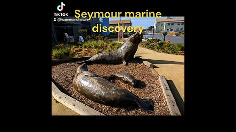 Seymour marine Discovery center aquarium