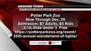 Around Town - Wonderland of Lights at Potter Park Zoo - 12/24/19