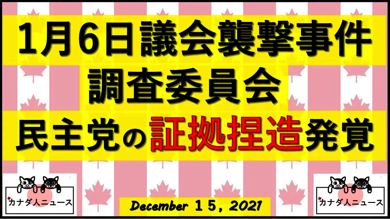 【またか】1月6日委員会で民主党の証拠捏造発覚