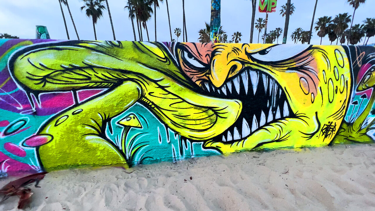 Venice Beach Graffiti Walls - April 2024 Compilation