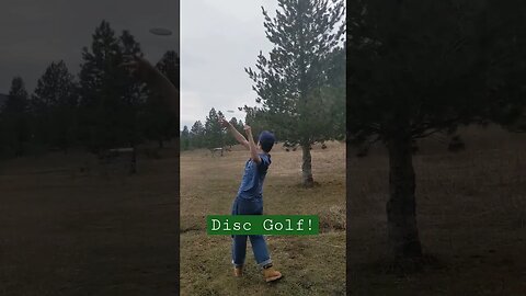 Disc Golfing! - #shorts #shortvideo