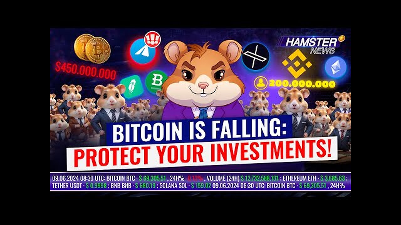 Today's Top Crypto News: Binance, Bitcoin, Trump & More 🐹💼 Hamster News