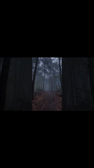 VÍDEO COMPLETO NO CANAL!!!