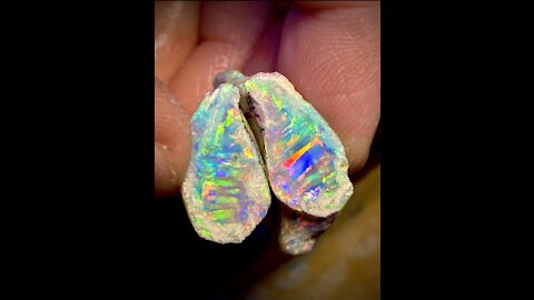 We dig 8k per ounce super gem Dead Horse Gully shells.