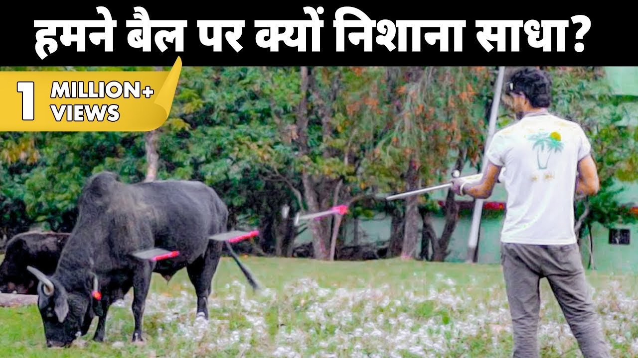 Humne iss bull par nishana kyun sadha | Why we had to shoot this bull