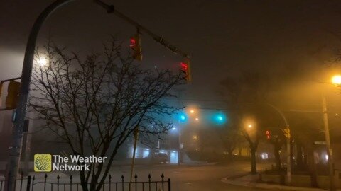 Fog closes in over Newfoundland creating an eerie evening scene