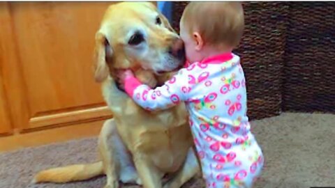 Cute Babies Playing With Dogs Compilation | Funny Baby And Pets