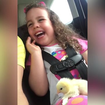 A Little Girl VS A Chicken
