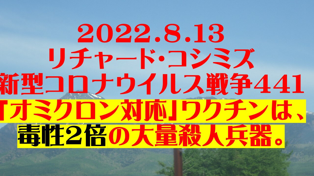 2022.08.13 リチャード・コシミズ新型コロナウイルス戦争４４１