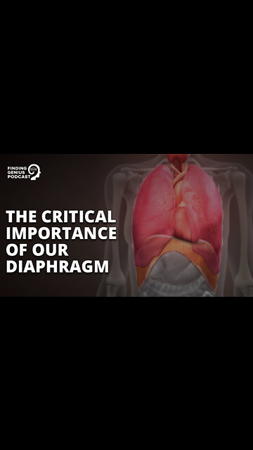 The Critical Importance of Our Diaphragm #shorts