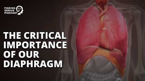 The Critical Importance of Our Diaphragm #shorts