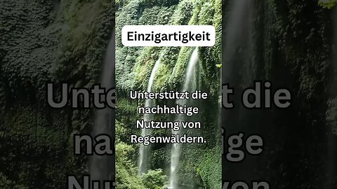 Mit dem Schutz des Regenwalds Geld verdienen geht mit dem Link in der Beschreibung!