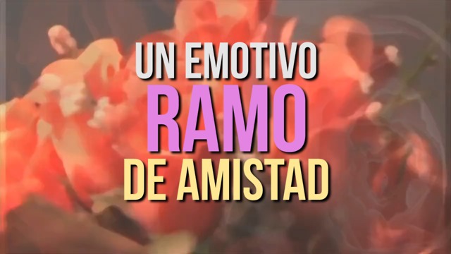 Un Emotivo Ramo De Amistad