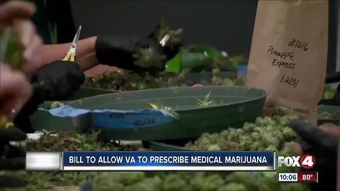 Medicinal marijuana could be given to VA patients