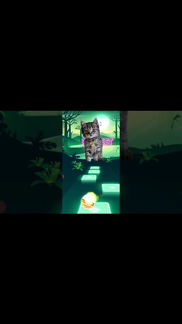 Cat singing Aaron Smith #shorts #music #cat