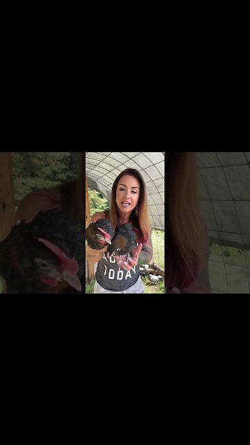 How Can You Tell? #farmlife #3mississippi #chickens