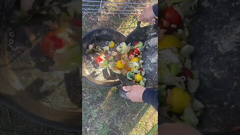 Snack Time 🐷 #farmlife #kunekune #veggies #fy #fyp #homesteadingfamily #smallfarm