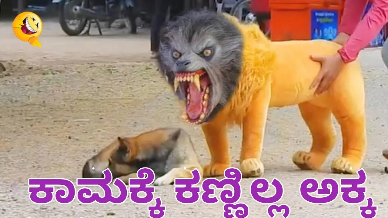 Best Prank Collection Top 15 - Fake Lion Prank Real Dog Super Funny - Try Not To Laugh Challenge