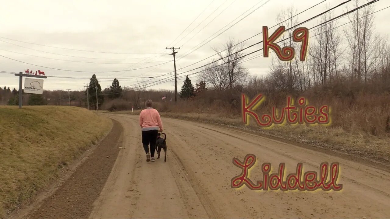 K9 Kuties: "Liddell"