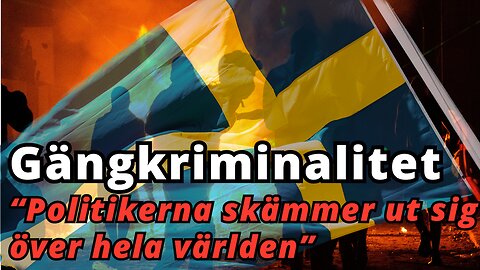 Hela världen skräms av svenska politikers misslyckande