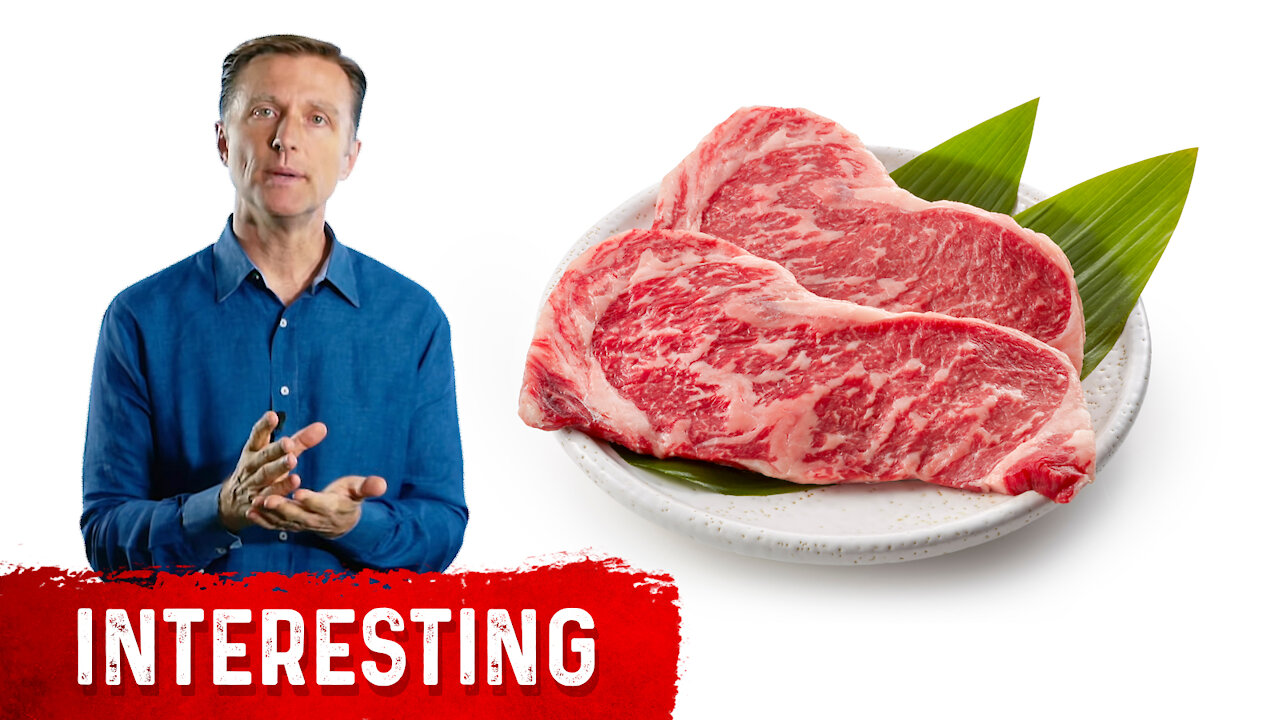 Why Fattier Meat is Easier to Digest