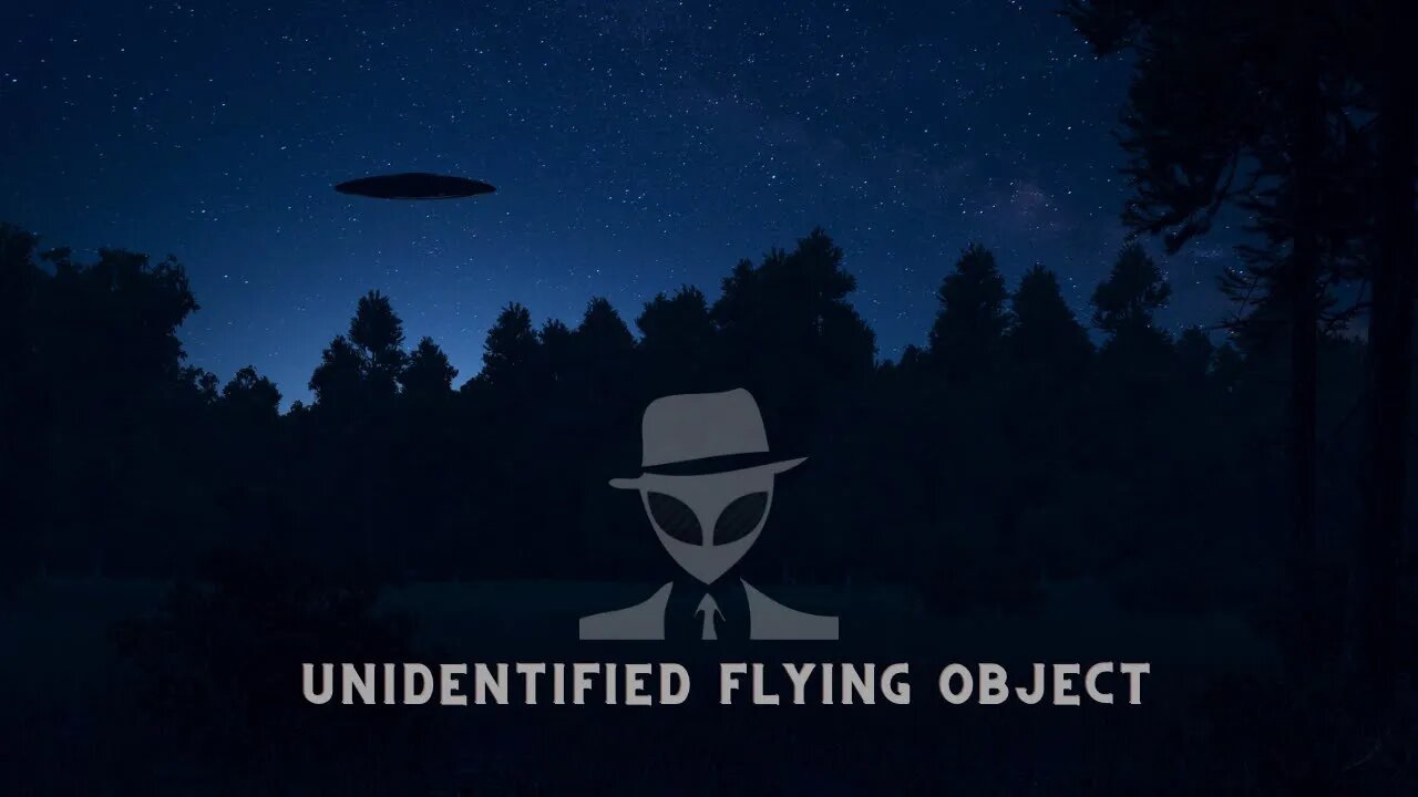 They Fly At Night